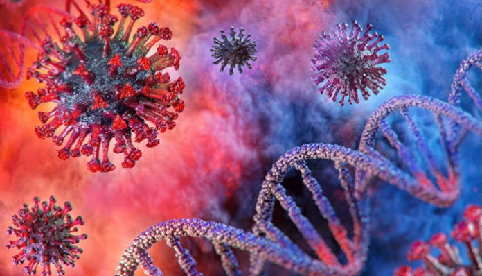 Impact BioMedicals Linebacker and Equivir inhibit SARS-CoV-2, virus responsible for the COVID-19 outbreak