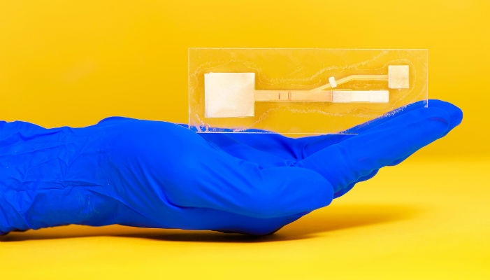 University's Paper Device Could Provide Portable Coronavirus Detection