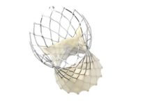 Medtronic Evolut TAVR System Receives Updated U.S. Labeling Revising Precaution for Treatment of Low-Risk Patients with Bicuspid Aortic Stenosis