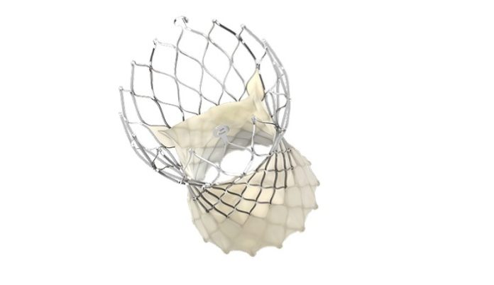 Medtronic Evolut TAVR System Receives Updated U.S. Labeling Revising Precaution for Treatment of Low-Risk Patients with Bicuspid Aortic Stenosis