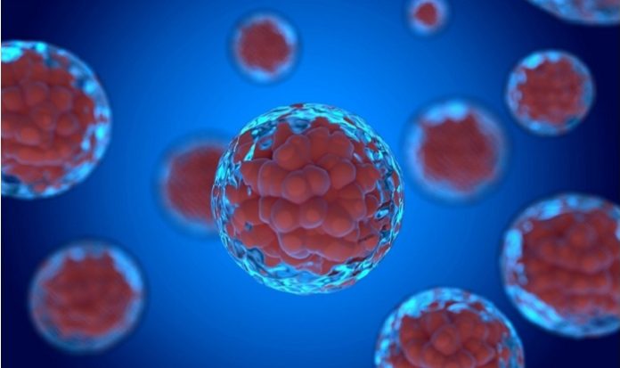Tumour-tropic liposome technology could pave way for cancer treatments