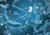 The Science of Lung-Gut-Brain Axis in Fighting COVID-19