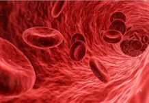 Europe Immunohematology Market Size to Exceed USD 442 Mn By 2024